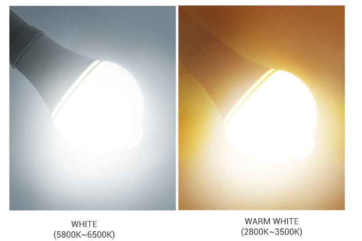 sensor LED  light Bangladesh